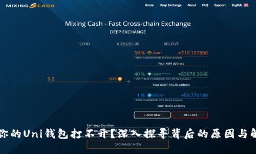 为什么你的Uni钱包打不开？深入探寻背后的原因与解决方案