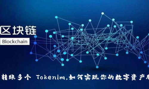 一次转账多个 Tokenim，如何实现你的数字资产腾飞？