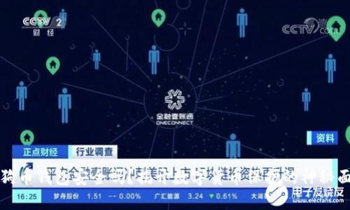 狗狗币钱包安全吗？揭开数字货币保护的神秘面纱