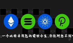 揭开神秘面纱：一个比特