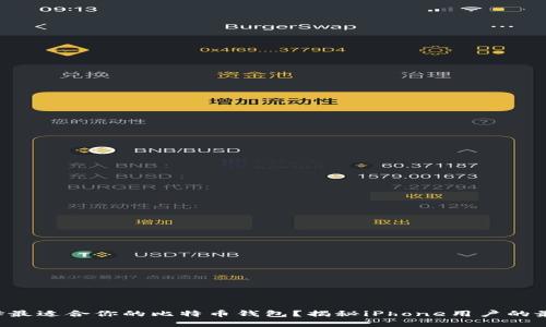 “如何选择最适合你的比特币钱包？揭秘iPhone用户的最佳选择！”