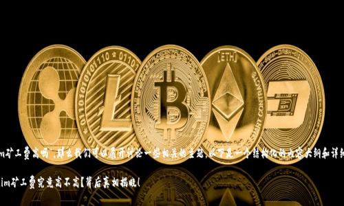 关于“tokenim矿工费高吗”，那么我们可以展开讨论一些相关的主题。以下是一个结构化的内容大纲和详细的讨论内容。

### Tokenim矿工费究竟高不高？背后真相揭晓！