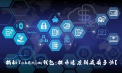 揭秘Tokenim钱包：提币速度