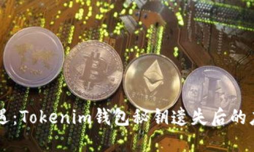 万一境遇：Tokenim钱包秘钥遗失后的应对之策