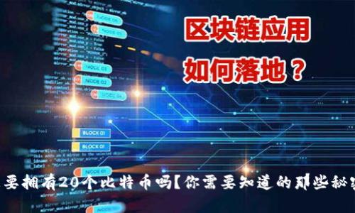 想要拥有20个比特币吗？你需要知道的那些秘密！