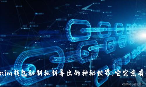 揭秘Tokenim钱包秘钥私钥导出的神秘世界：它究竟有什么作用？