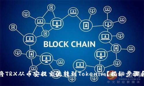 如何顺利将TRX从币安提交流转到Tokenim？揭秘步骤和注意事项