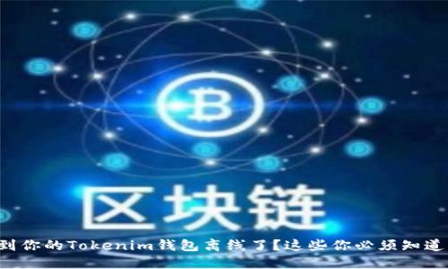 你是否注意到你的Tokenim钱包离线了？这些你必须知道的关键因素！