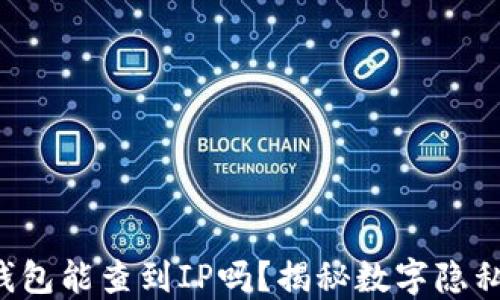 
比特币钱包能查到IP吗？揭秘数字隐私的秘密！
