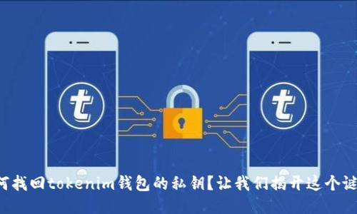 如何找回tokenim钱包的私钥？让我们揭开这个谜团！