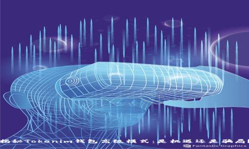 揭秘Tokenim钱包高级模式：是机遇还是骗局？