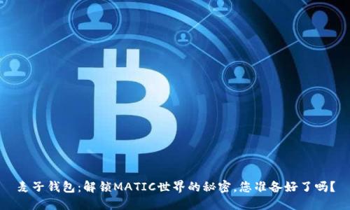 麦子钱包：解锁MATIC世界的秘密，您准备好了吗？