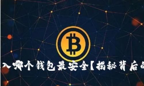 屎币存入哪个钱包最安全？揭秘背后的真相！