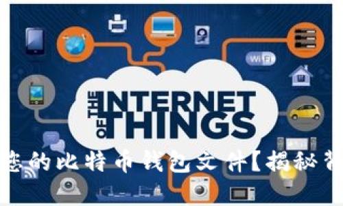 如何安全地加密您的比特币钱包文件？揭秘背后的技巧与策略