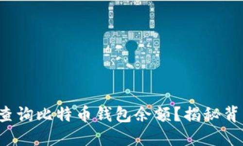 如何轻松查询比特币钱包余额？揭秘背后的秘密！