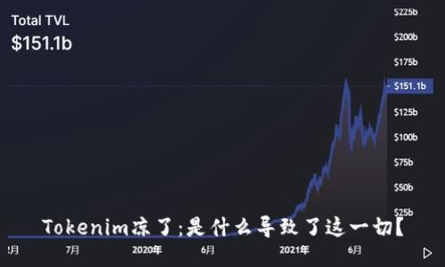 Tokenim凉了：是什么导致了这一切？