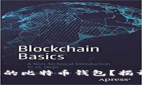 如何选择最适合你的比特币钱包？揭开不同软件的秘密！