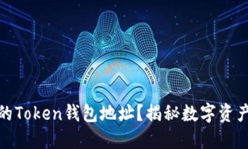 如何查看您的Token钱包地址？揭秘数字资产的灵魂所在