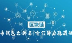 比特币钱包文件名：它们背后隐藏的秘密