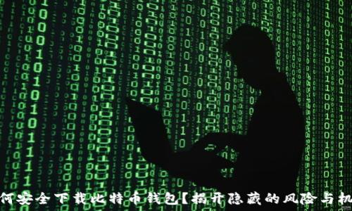  
如何安全下载比特币钱包？揭开隐藏的风险与机遇