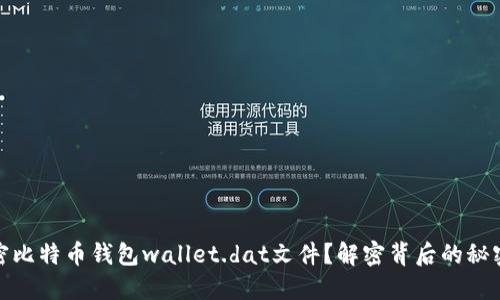 如何解密比特币钱包wallet.dat文件？解密背后的秘密与风险