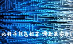 比特币钱包推荐：哪款最安全？