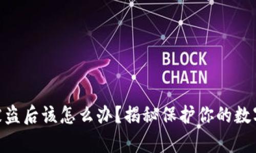 tp钱包USDT被盗后该怎么办？揭秘保护你的数字资产的秘密！