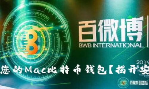 如何安全备份您的Mac比特币钱包？揭开安全存储的秘密