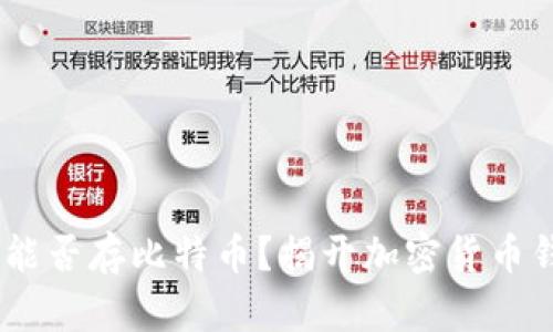 USDT钱包能否存比特币？揭开加密货币钱包的秘密