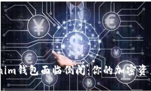当Tokentokenim钱包面临倒闭：你的加密资产会何去何从？