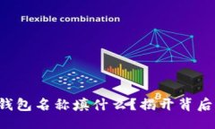 ### 以太坊钱包名称填什么？揭开背后的秘密！