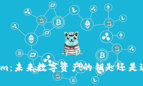 探索Tokenim：未来数字资产的钥匙还是迷失的方向？