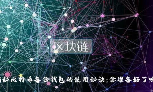 揭秘比特币备份钱包的使用秘诀：你准备好了吗？