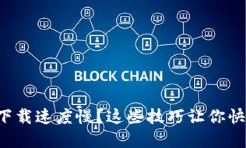 比特币钱包下载速度慢？这些技巧让你快速摆脱困境！