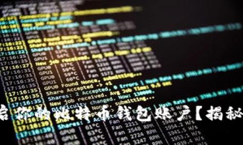 如何顺利开启你的比特币钱包账户？揭秘其中的奥秘！