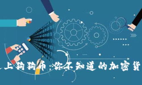 当屎币遇上狗狗币：你不知道的加密货币新世界