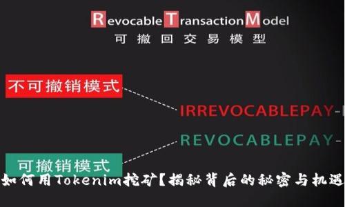 如何用Tokenim挖矿？揭秘背后的秘密与机遇