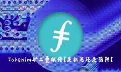 Tokenim矿工费飙升？是机遇
