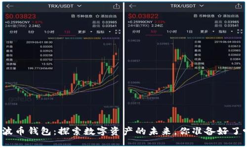 瑞波币钱包：探索数字资产的未来，你准备好了吗？