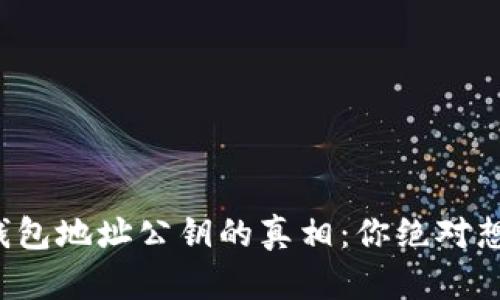揭秘以太坊钱包地址公钥的真相：你绝对想知道的秘密！