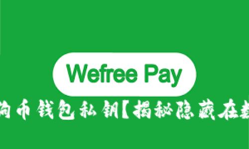 如何安全地查看狗狗币钱包私钥？揭秘隐藏在数字货币背后的秘密