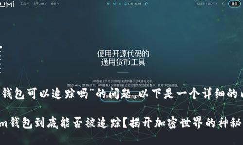 关于“tokentokenim钱包可以追踪吗”的问题，以下是一个详细的内容大纲和相关信息：

### Tokentokenim钱包到底能否被追踪？揭开加密世界的神秘面纱