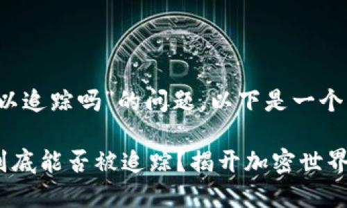 关于“tokentokenim钱包可以追踪吗”的问题，以下是一个详细的内容大纲和相关信息：

### Tokentokenim钱包到底能否被追踪？揭开加密世界的神秘面纱