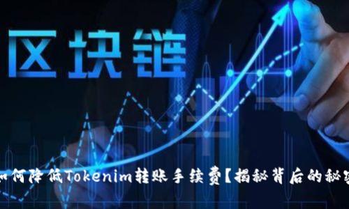 如何降低Tokenim转账手续费？揭秘背后的秘密