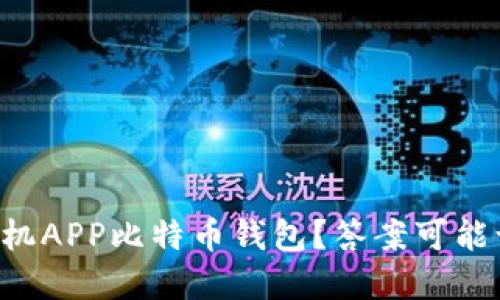 为什么选择手机APP比特币钱包？答案可能让你意想不到！