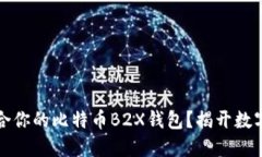 如何选择适合你的比特币B2X钱包？揭开数字资产