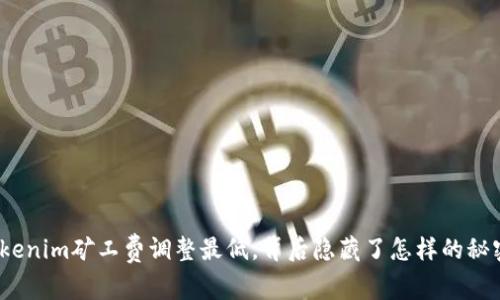 Tokenim矿工费调整最低，背后隐藏了怎样的秘密？