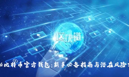 揭秘比特币官方钱包：新手必备指南与潜在风险分析