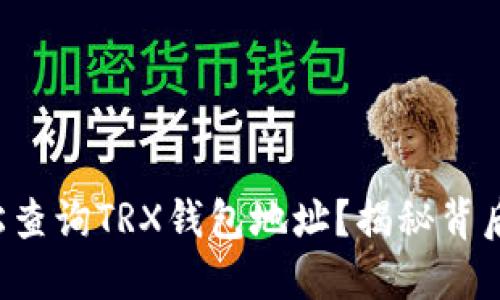 如何轻松查询TRX钱包地址？揭秘背后的秘密！