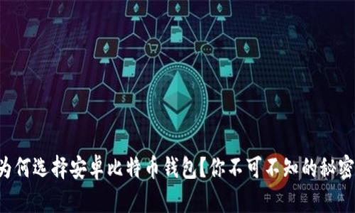 为何选择安卓比特币钱包？你不可不知的秘密！